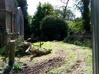 All Saints Barber Rooms Project 07 - Trees removed