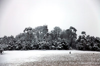 Cold winter's day - dog walking at Faringdon Folly Oxfordshire