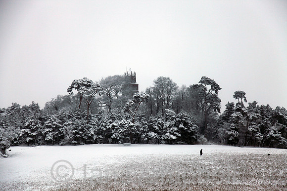 Cold winter's day - dog walking at Faringdon Folly Oxfordshire