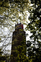 017 - Folly Celebrations