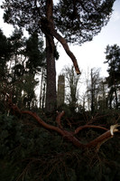012 - Tree Damage At The Folly