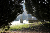 Tombstones seen through a gap in the hedge on a winter's day