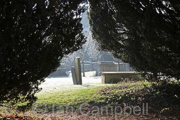 Tombstones seen through a gap in the hedge on a winter's day