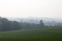 010 - Morning Mist