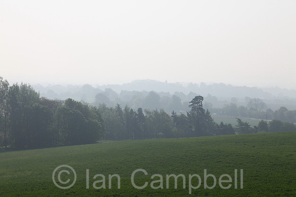 010 - Morning Mist